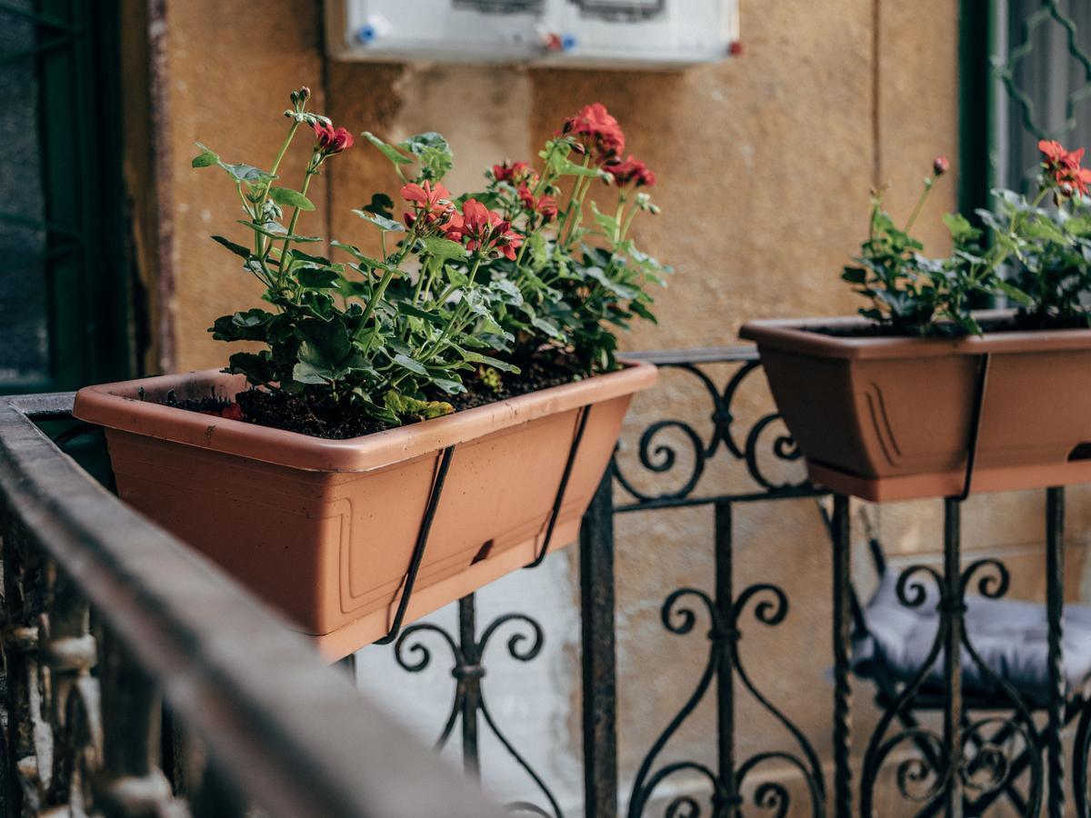 111 Hostel Βουδαπέστη Εξωτερικό φωτογραφία